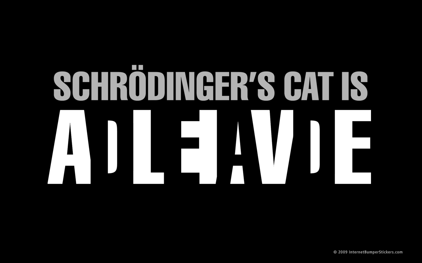 Schrodingers Cat